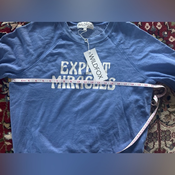 Soft blue WILDFOX Sweatshirt - Picture 8 of 9